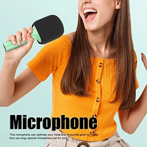 Wireless Microphone Portable Wireless Microphone
