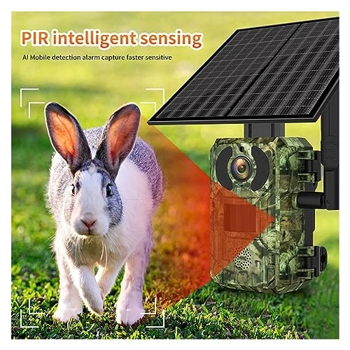 Solar Hunting Rear Camera - 4G 4 megapixel