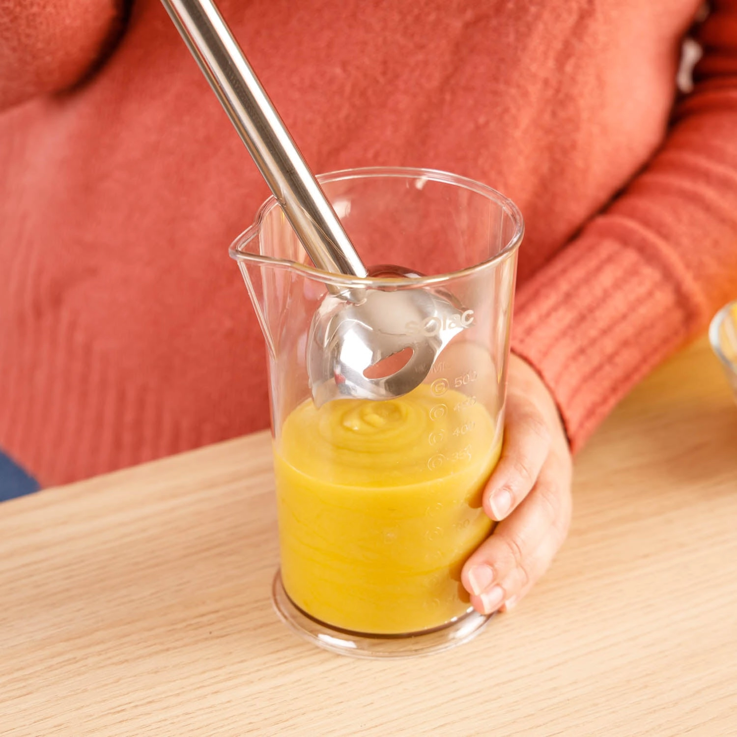 Hand Blender - 1000 W