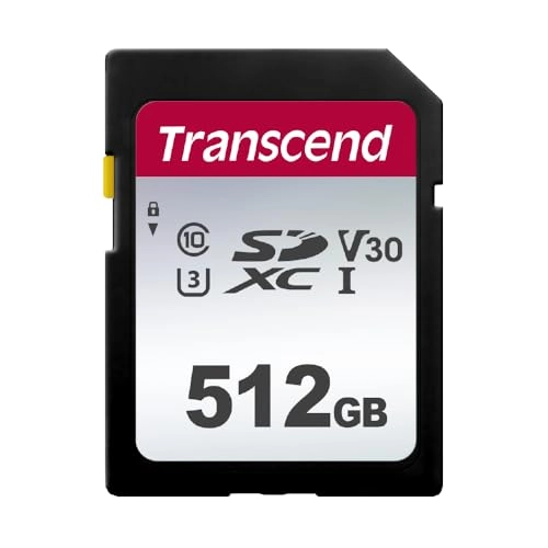 300S - 512GB