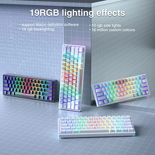 SK961 - Wired/Wireless