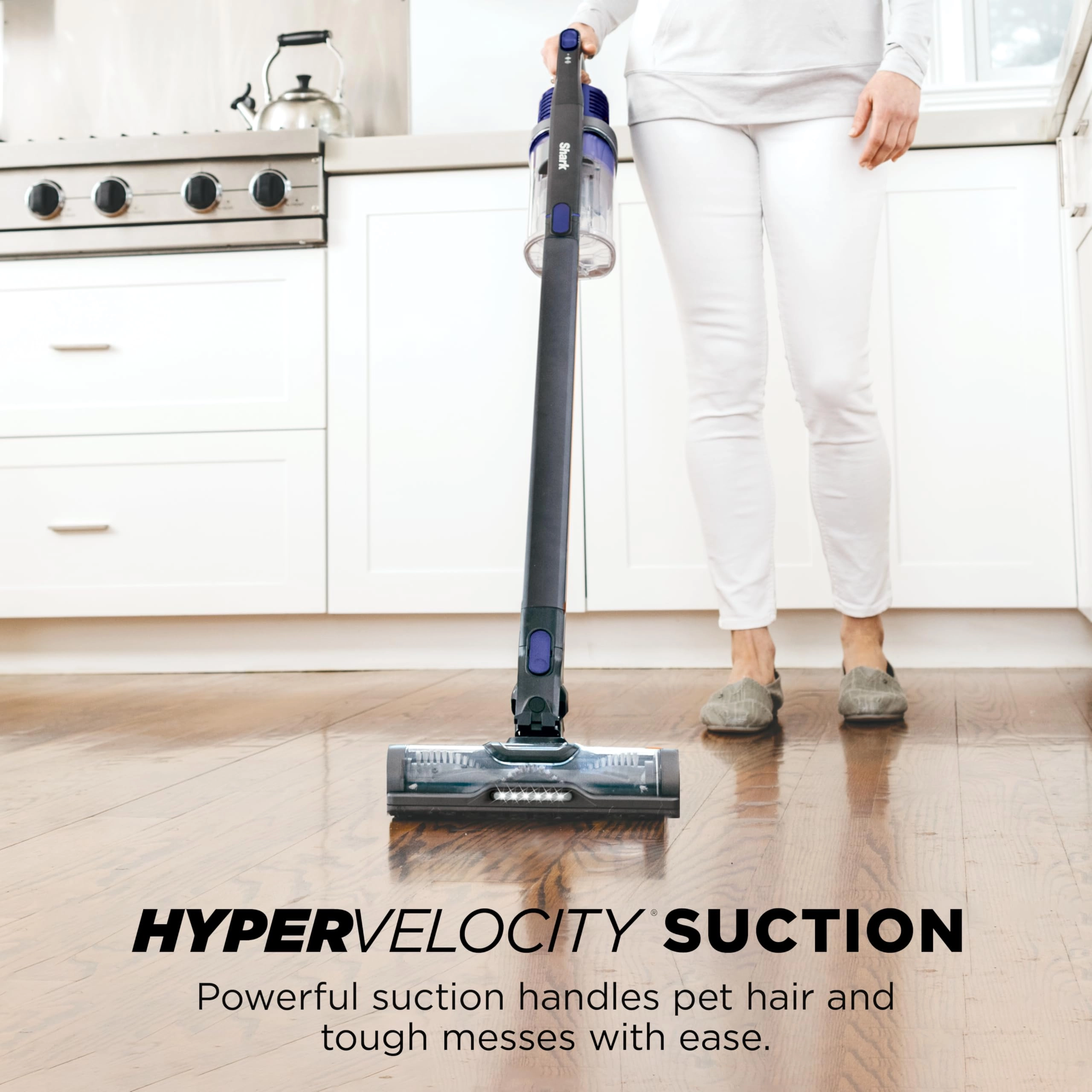 IX141 - 40 minutes Cordless Pet