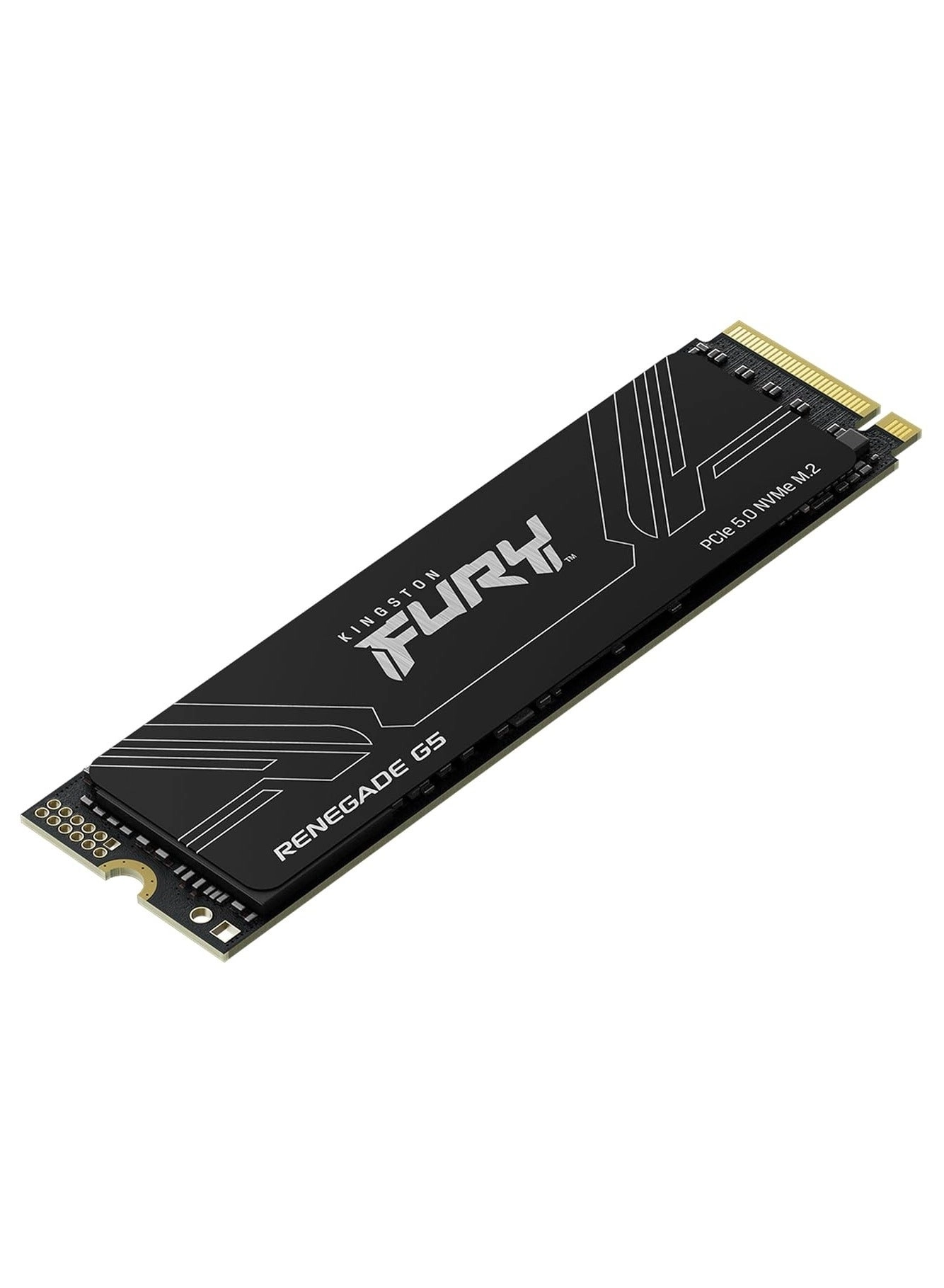 FURY RENEGADE G5 - 4TB NVME