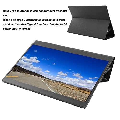 PM 1731M - 1920x1080P 17.3 Inch