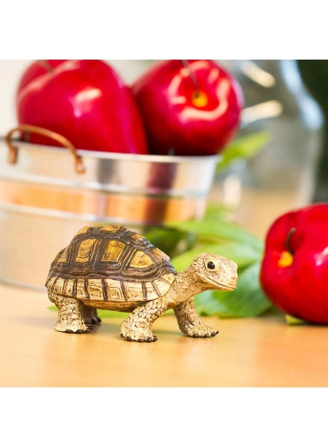 Incredible Creatures - Tortoise