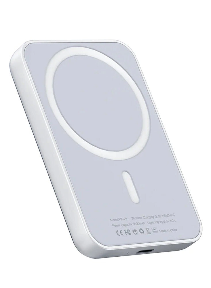 YP29 - 5000mAh Qi USB-C