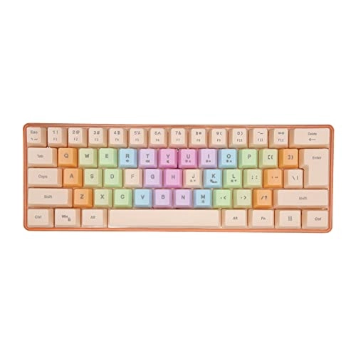 61 Keys Mechanical Keyboard