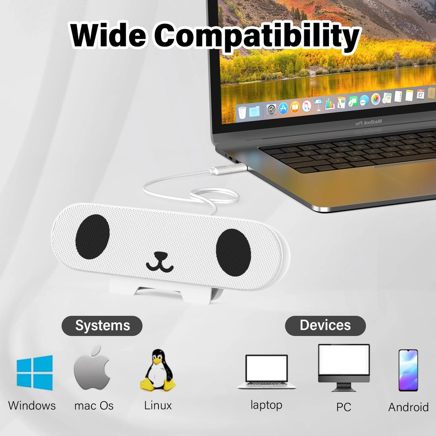 Computer Speakers