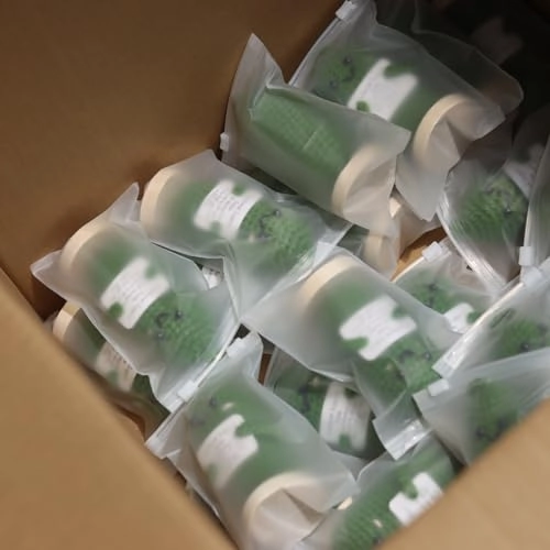 Emotional Support Pickle - Birthday, Christmas, Friendship Day, Some special days, Various decorative occasions