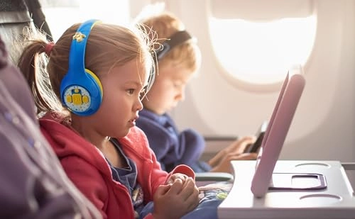 RA-B48 Wireless Headphone