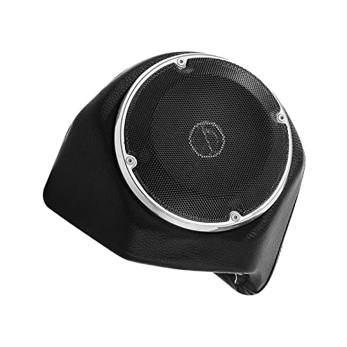 Rear Speaker - two loudspeakers