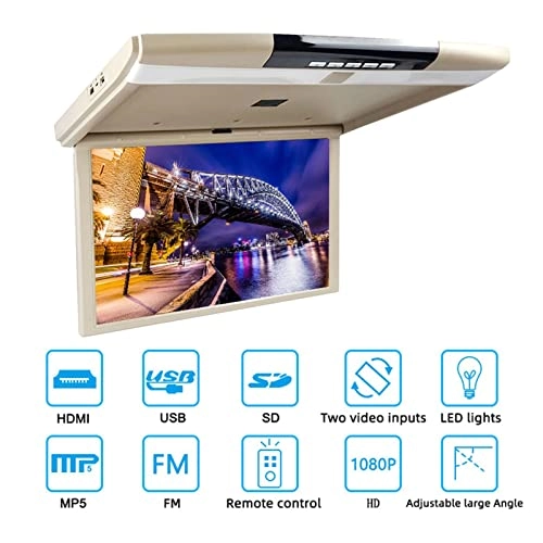 Car Roof Mount Screen - 17.3 Inch