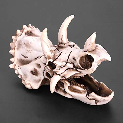 Triceratops Skull - 14 centimeters