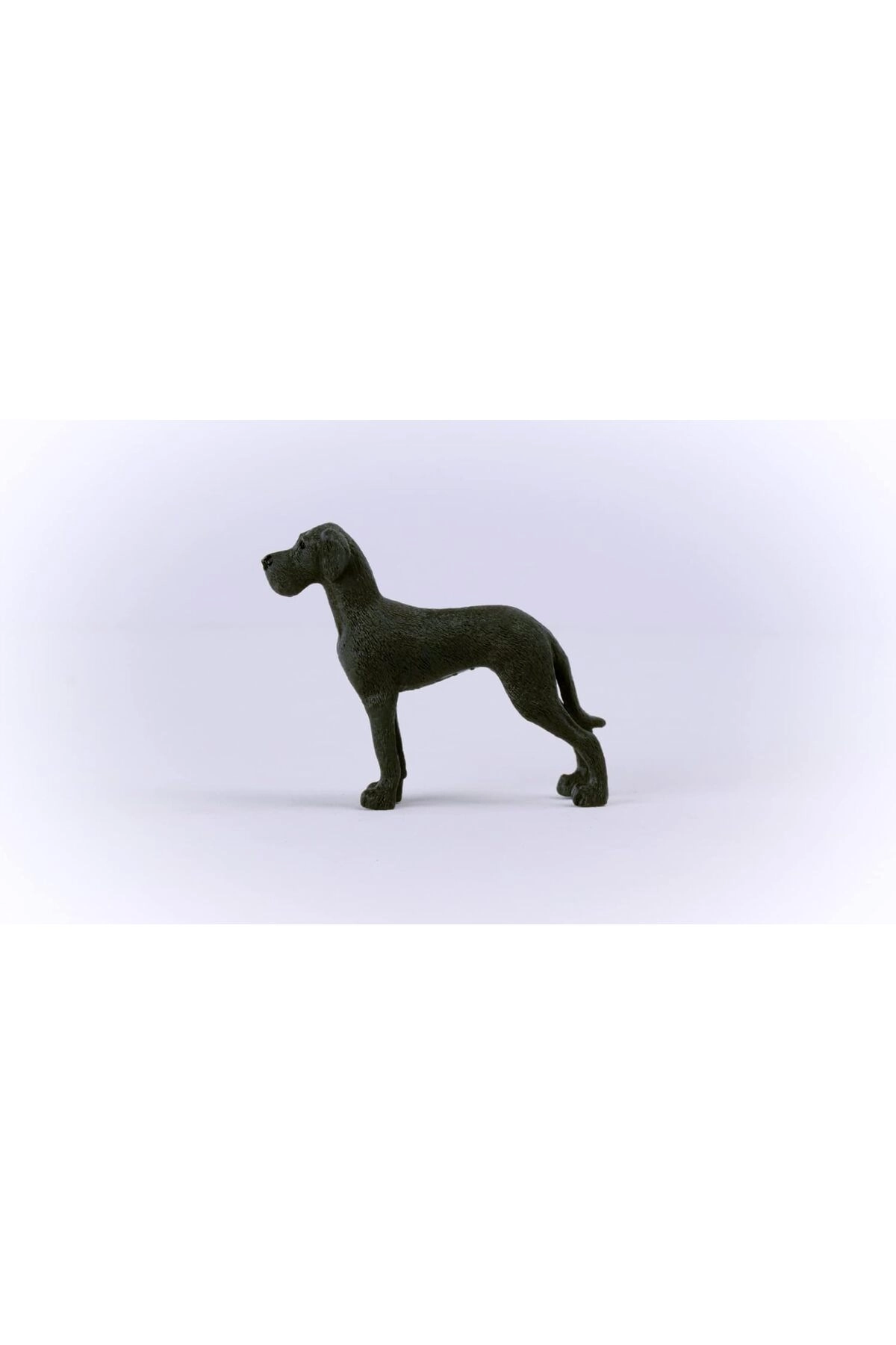 Great Dane - 3 to 8 1 Piece