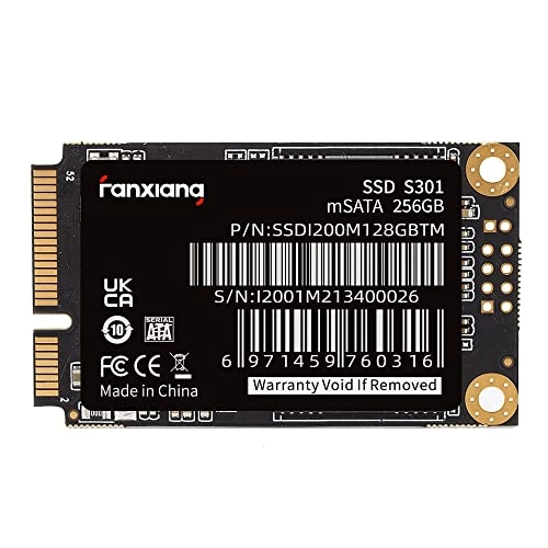 S301 - 256GB mSATA