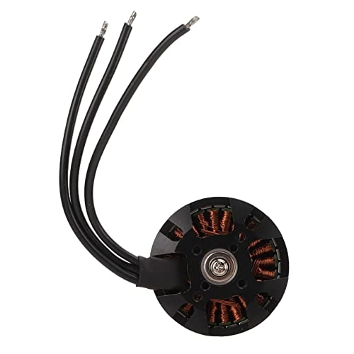 Brushless Motor