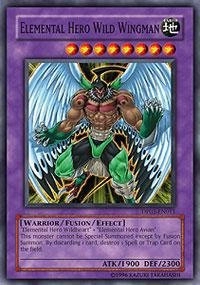Yu-Gi-Oh! Elemental Hero Wild Wingman DP03-EN011
