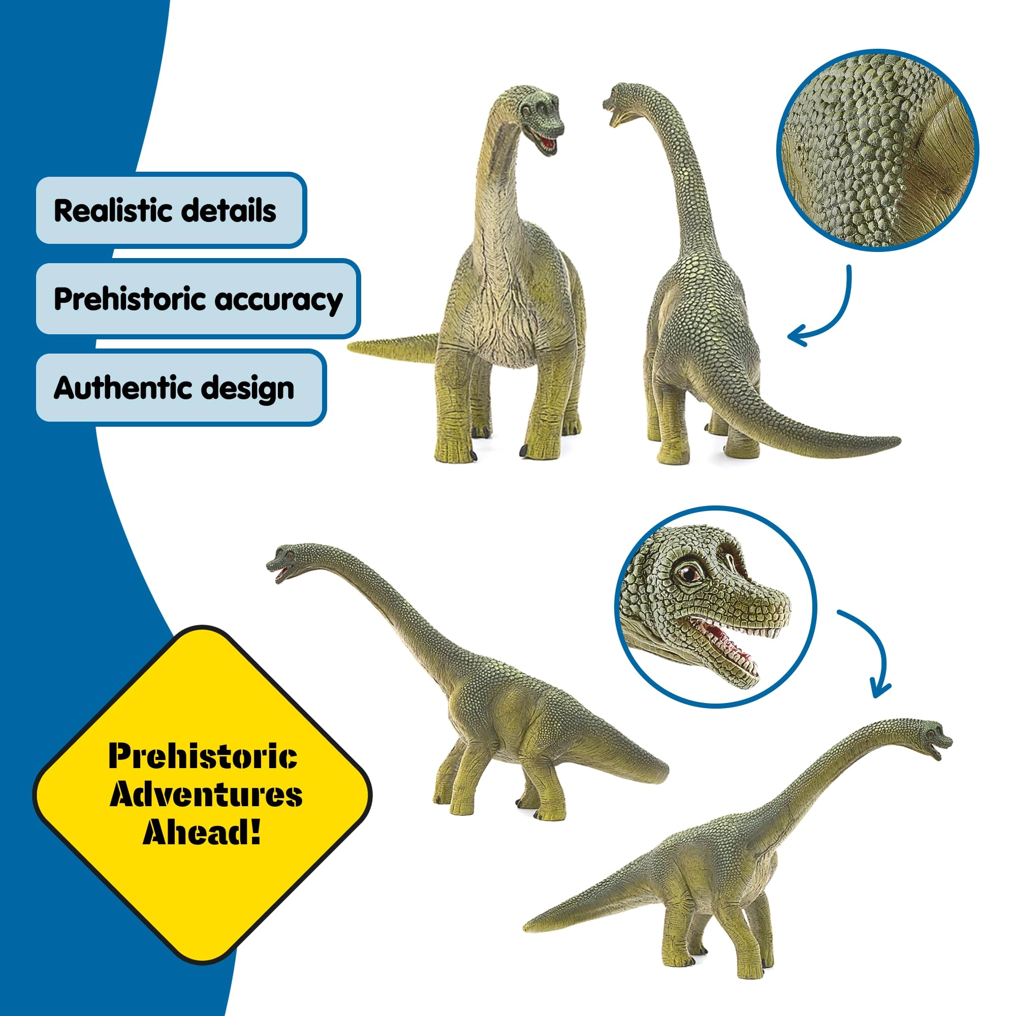 Brachiosaurus