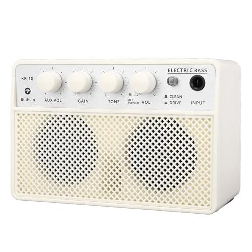 Compact Bass Amplifier - 10W Dual Channel