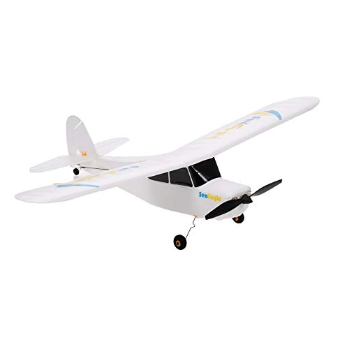 RC Airplane