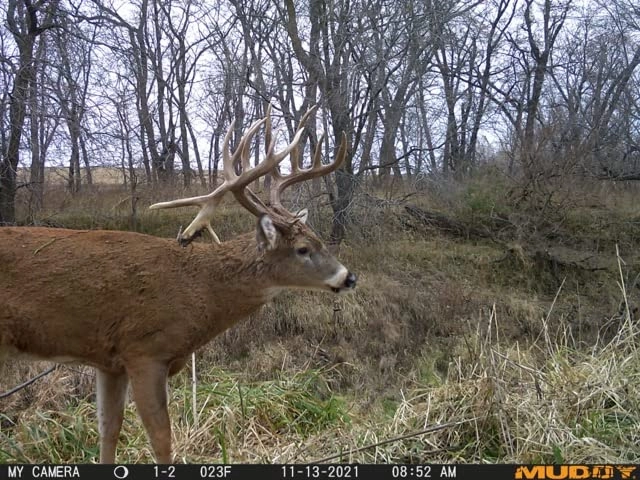 Manifest 2.0 - Verizon 16 megapixel