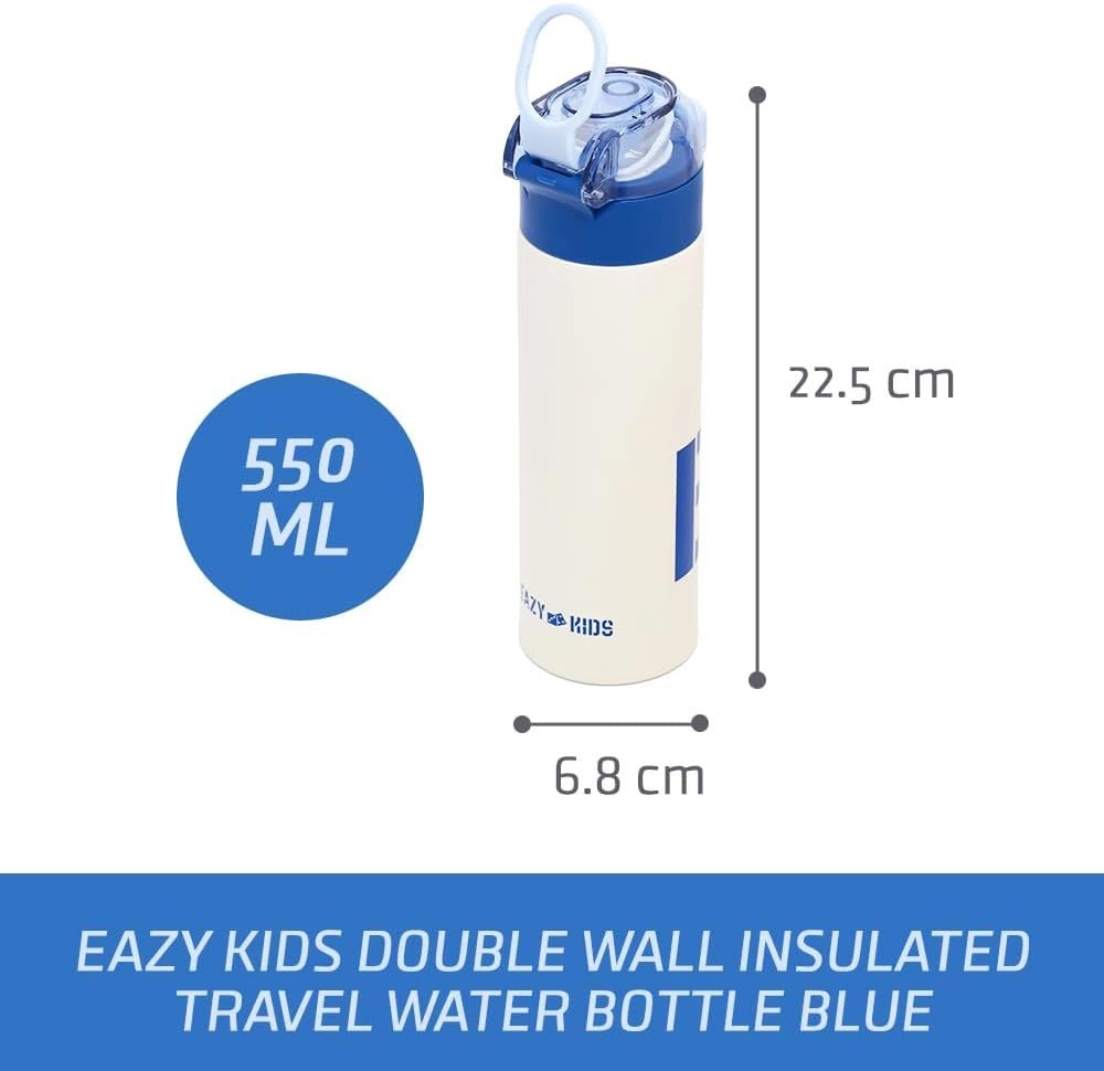 Insulated Stainless Steel Travel Water Bottle - 550ml