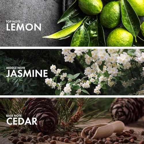 Orange Black Tea - Eau de Parfum 50 ml