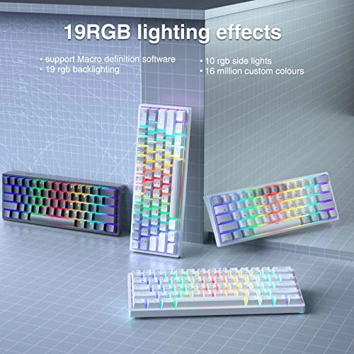 SK961 - Wired/Wireless