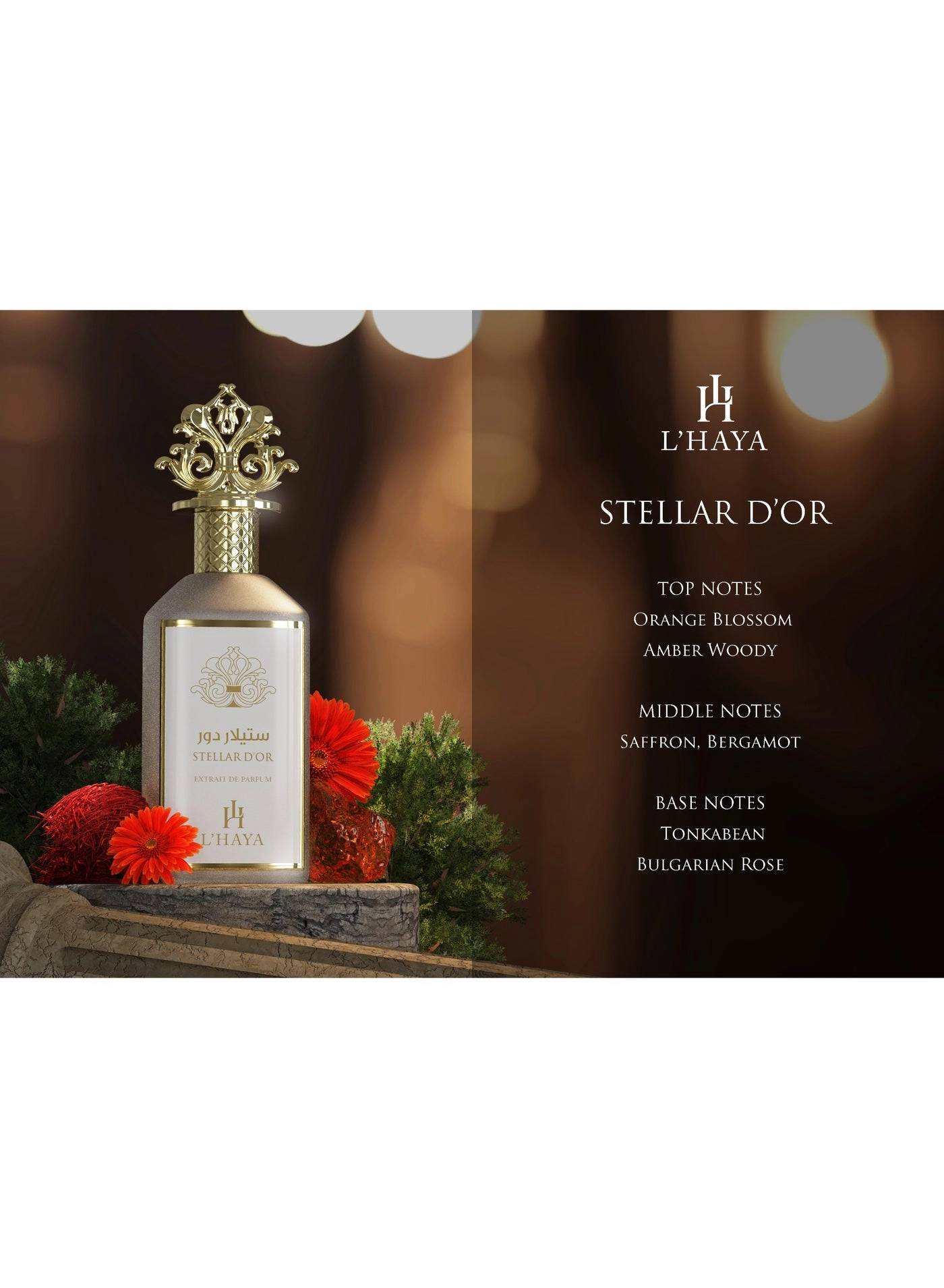 Stellar D'or - Eau de Parfum 100ml
