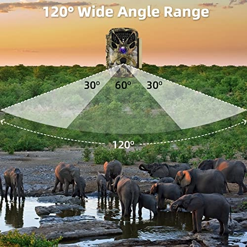Trail Camera - 24 megapixel