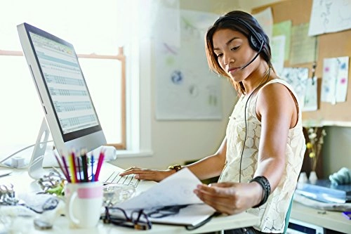 Blackwire C315 Wired Headset