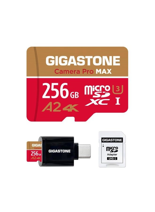 Gigastone Micro SD Card - 256GB
