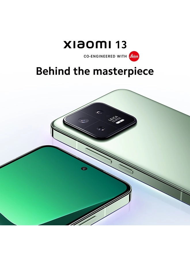 13 - 12GB 256GB