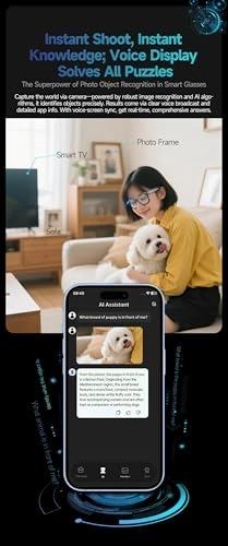AI Smart Glasses - Real Time Translation Voice Assistant