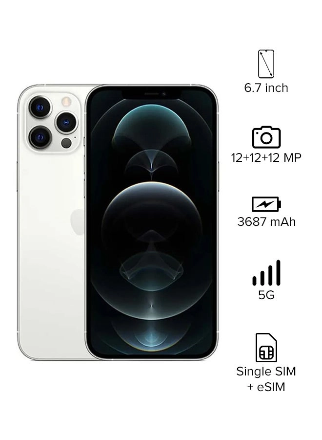 iPhone 12 Pro Max - 256GB