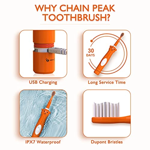 Kids Sonic Electric Toothbrush - Rechargeable 6 Brush Heads 2 Min Timer