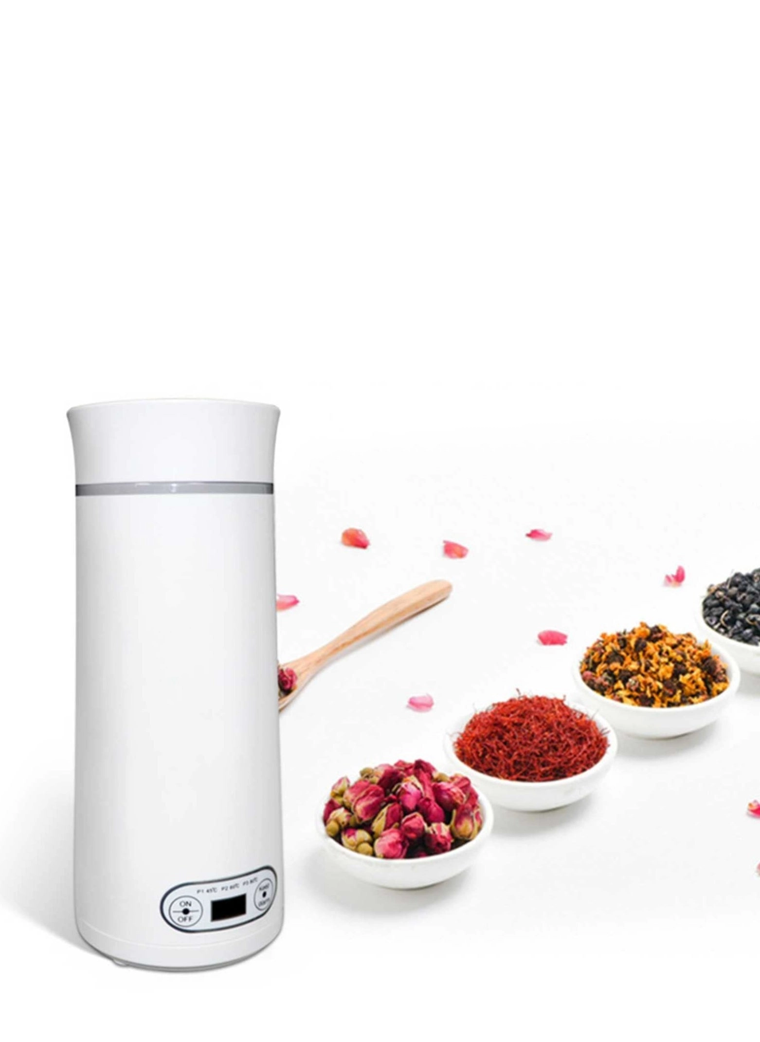 KASTWAVE Travel Electric Kettle small