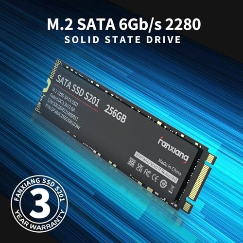 S201 - 256GB M.2 2280