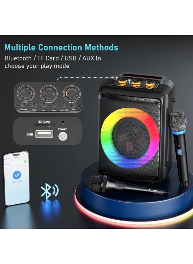 AE-D13 - 2 Microphones