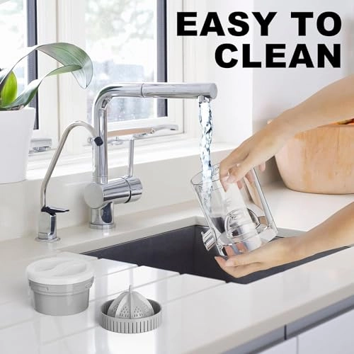 Electric Juicer - 380 Milliliters