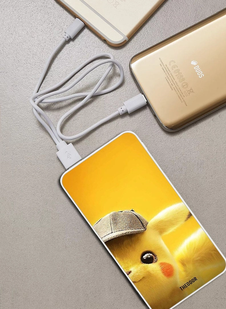 EX_PPBA455 - 10000 mAh