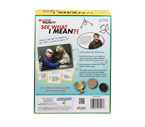 Relative Insanity: See What I Mean?! - Party Game