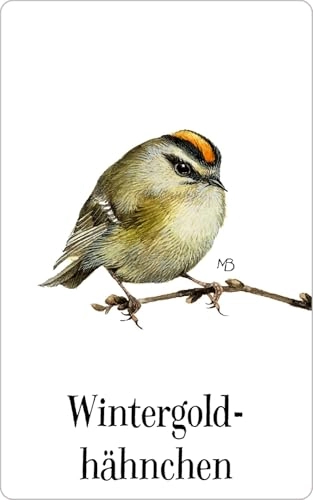 Vogel-Memo - German No batteries required