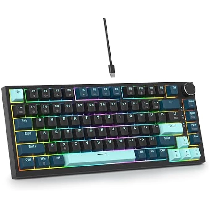 rayihni V400 - US Wired