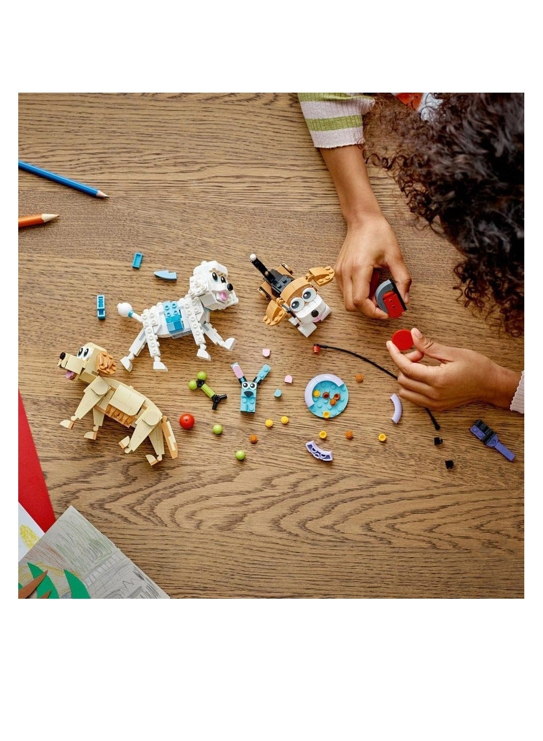 Adorable Dogs (31137) - Creator 3in1