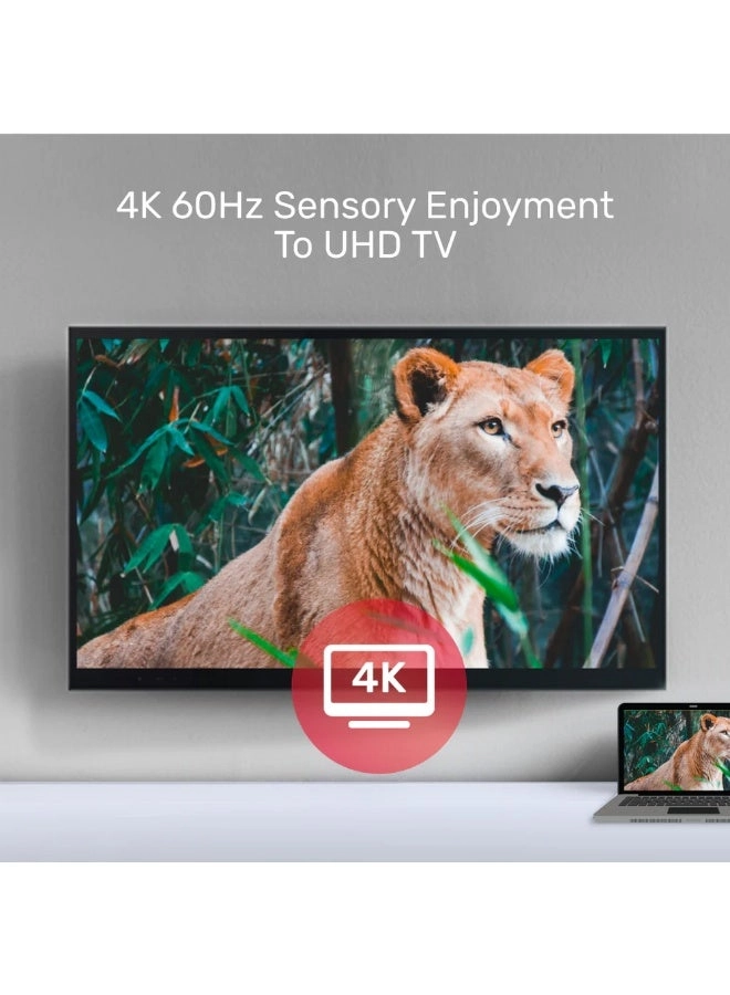 USB-C To HDMI And VGA Adapter - USB-C 4K@30Hz