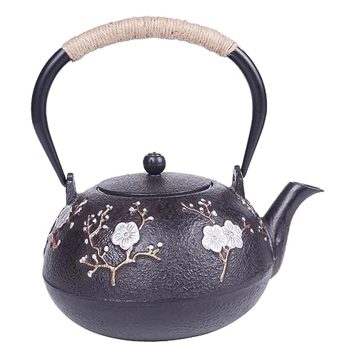 Cast Iron Teapot