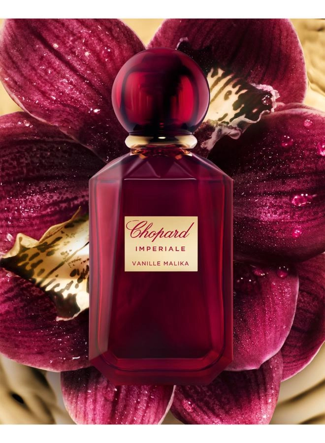 Vanille Malika Eau de Parfum - 100ml + Vanille Malika Body Lotion - 75ml