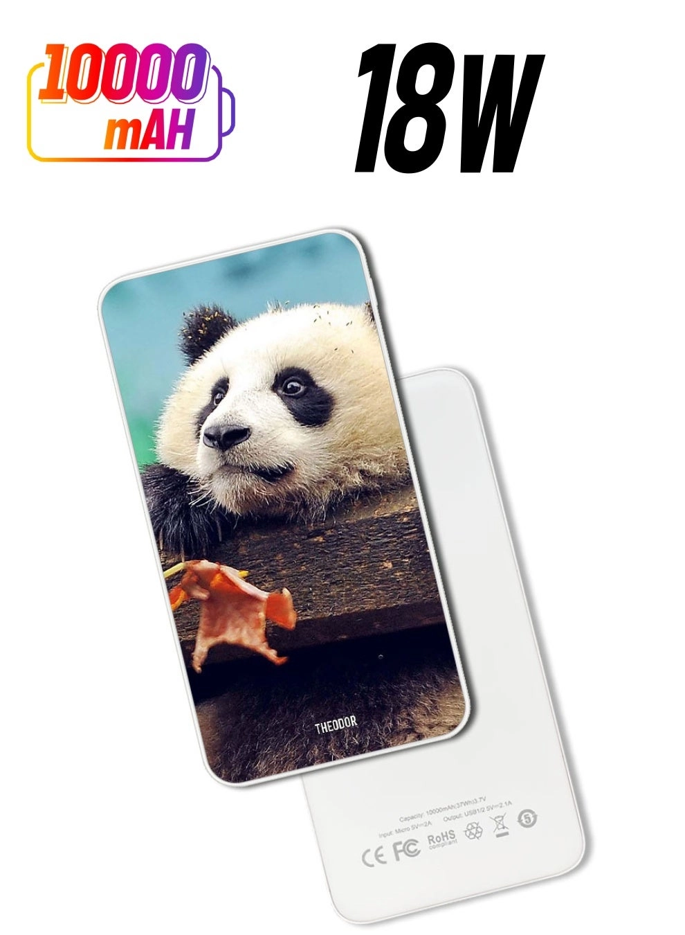 Theodor EX_PPBA498 - 10000 mAh 18W