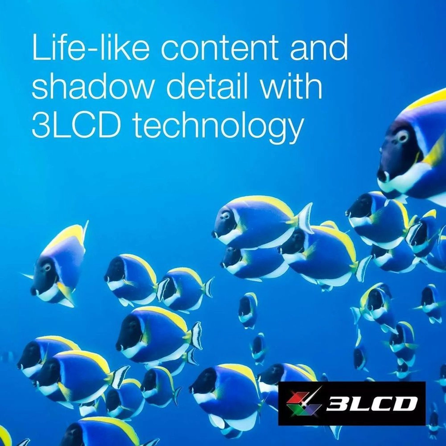 Smart FHD 3 CO-FH02 3000 ANSI lumens